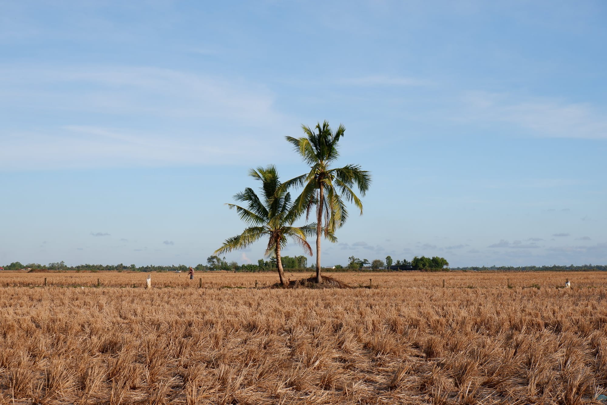 Đường miền Tây