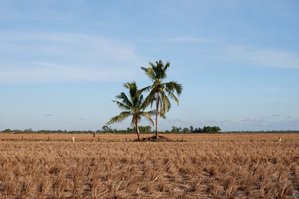 Đường miền Tây